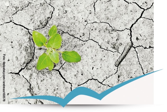 N2_Klimawandel_pixabay.com_andreas160578