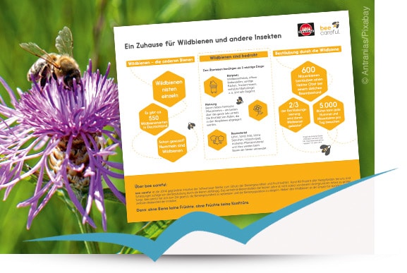 N2_Wildbienen_Schild
